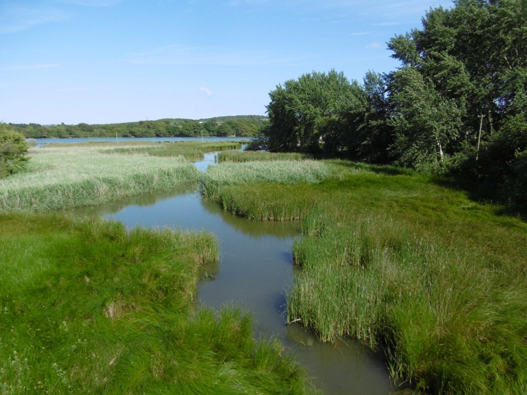 dodnor_creek